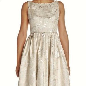 Adrianna Papell dress/gown